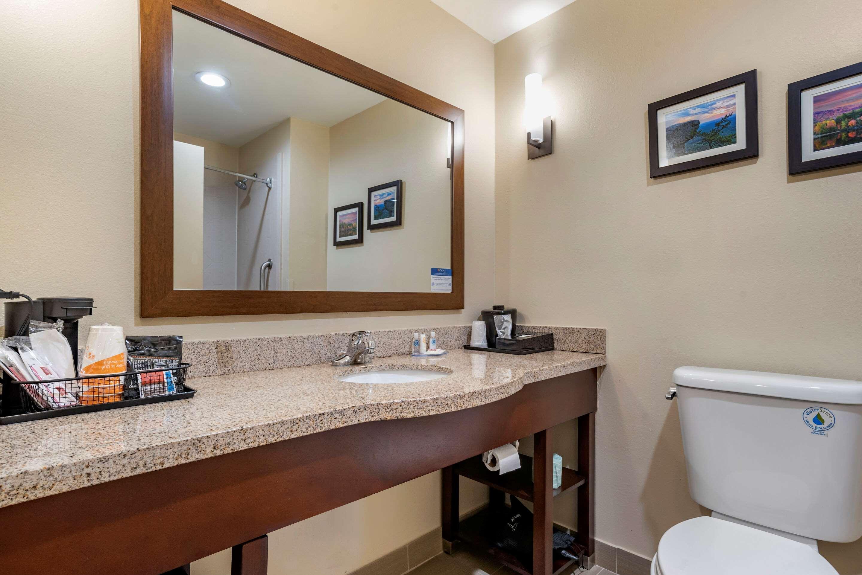 Comfort Suites Pell City I-20 Exit 158 Eksteriør bilde