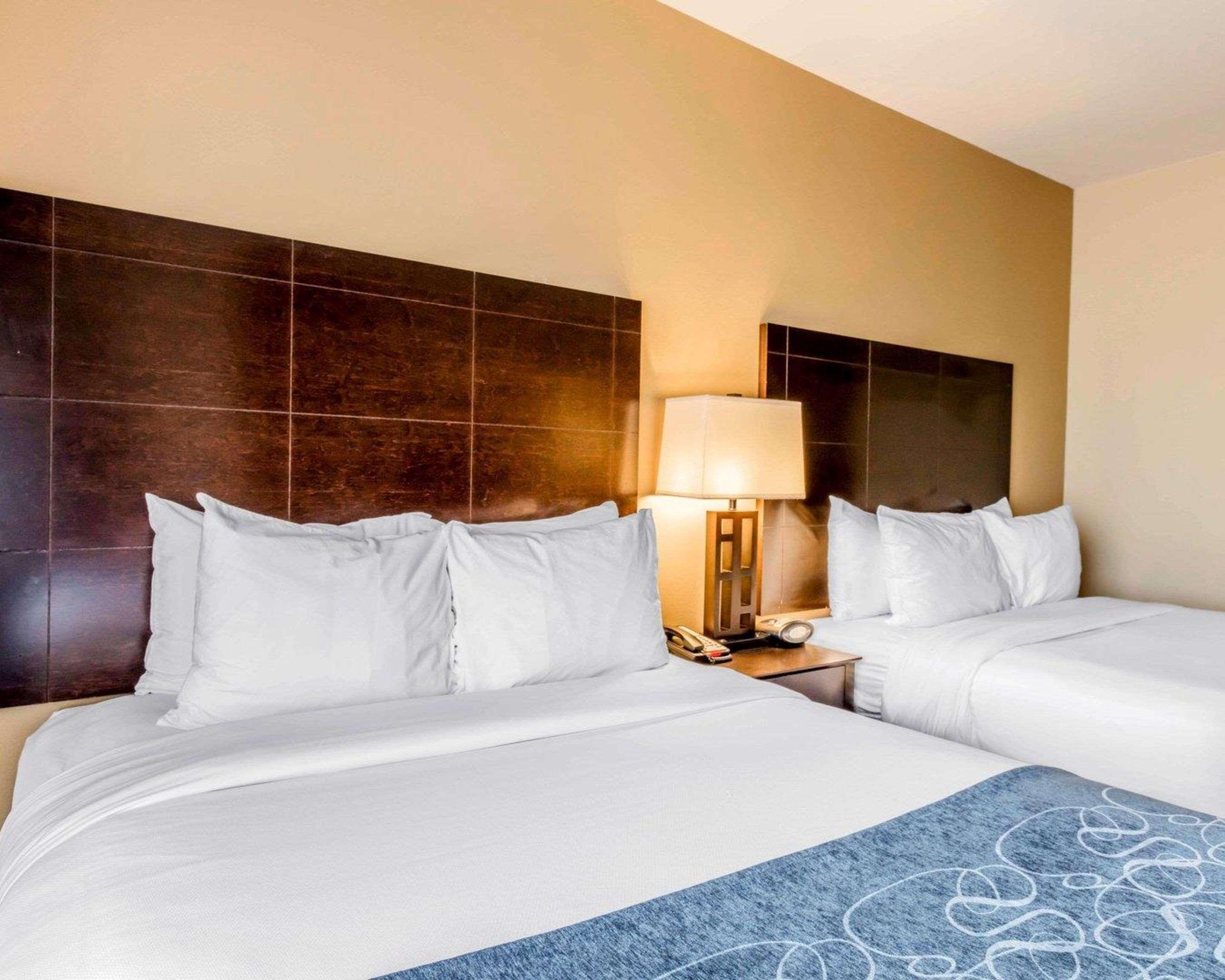 Comfort Suites Pell City I-20 Exit 158 Eksteriør bilde