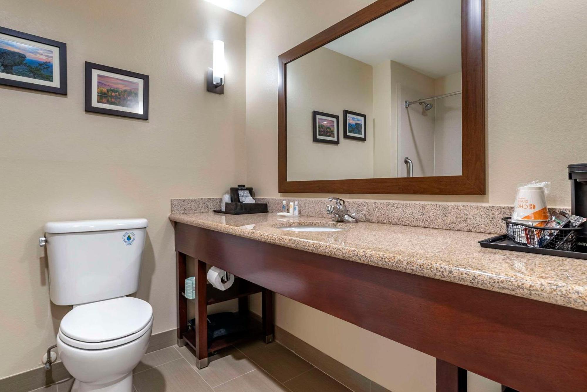 Comfort Suites Pell City I-20 Exit 158 Eksteriør bilde