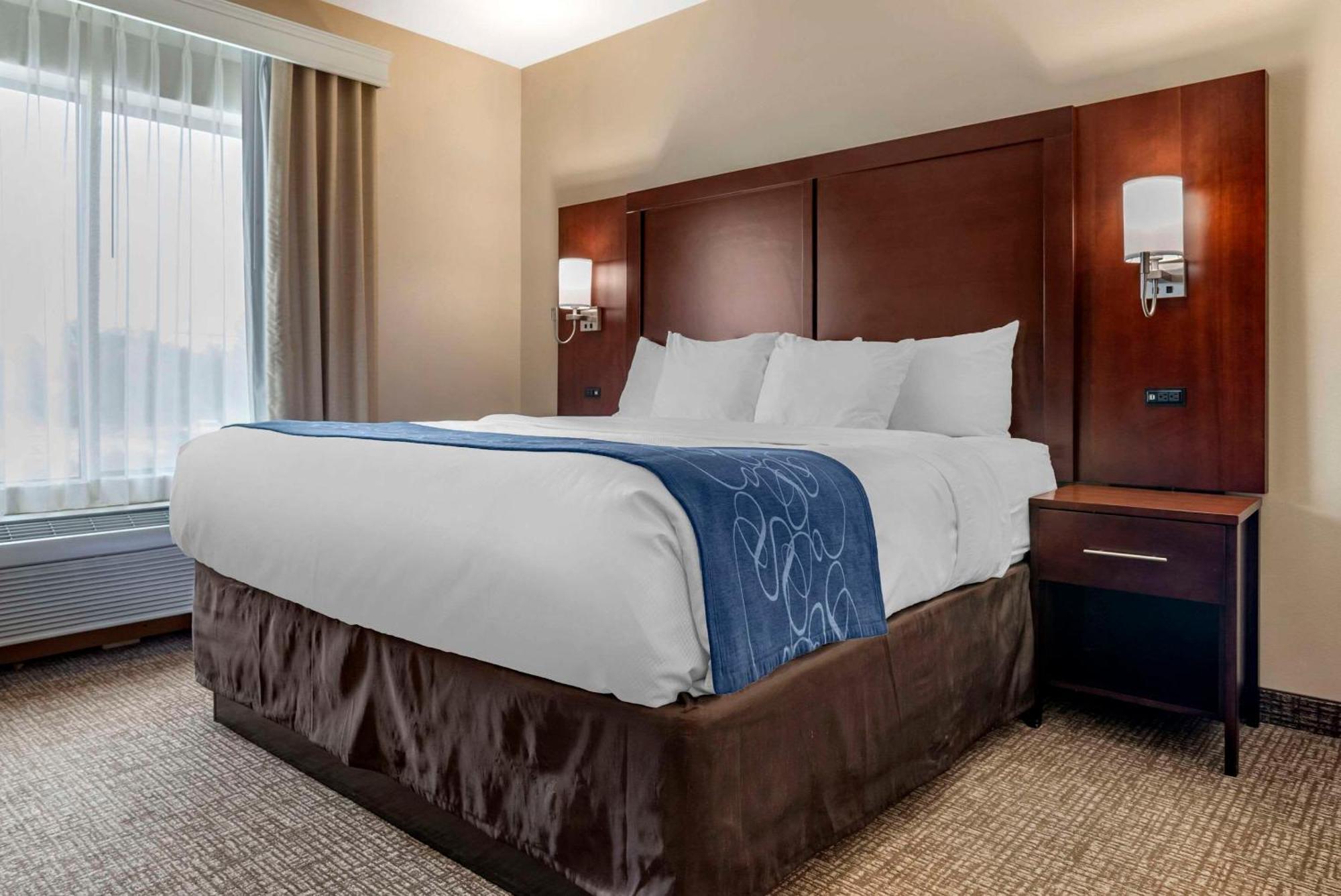 Comfort Suites Pell City I-20 Exit 158 Eksteriør bilde