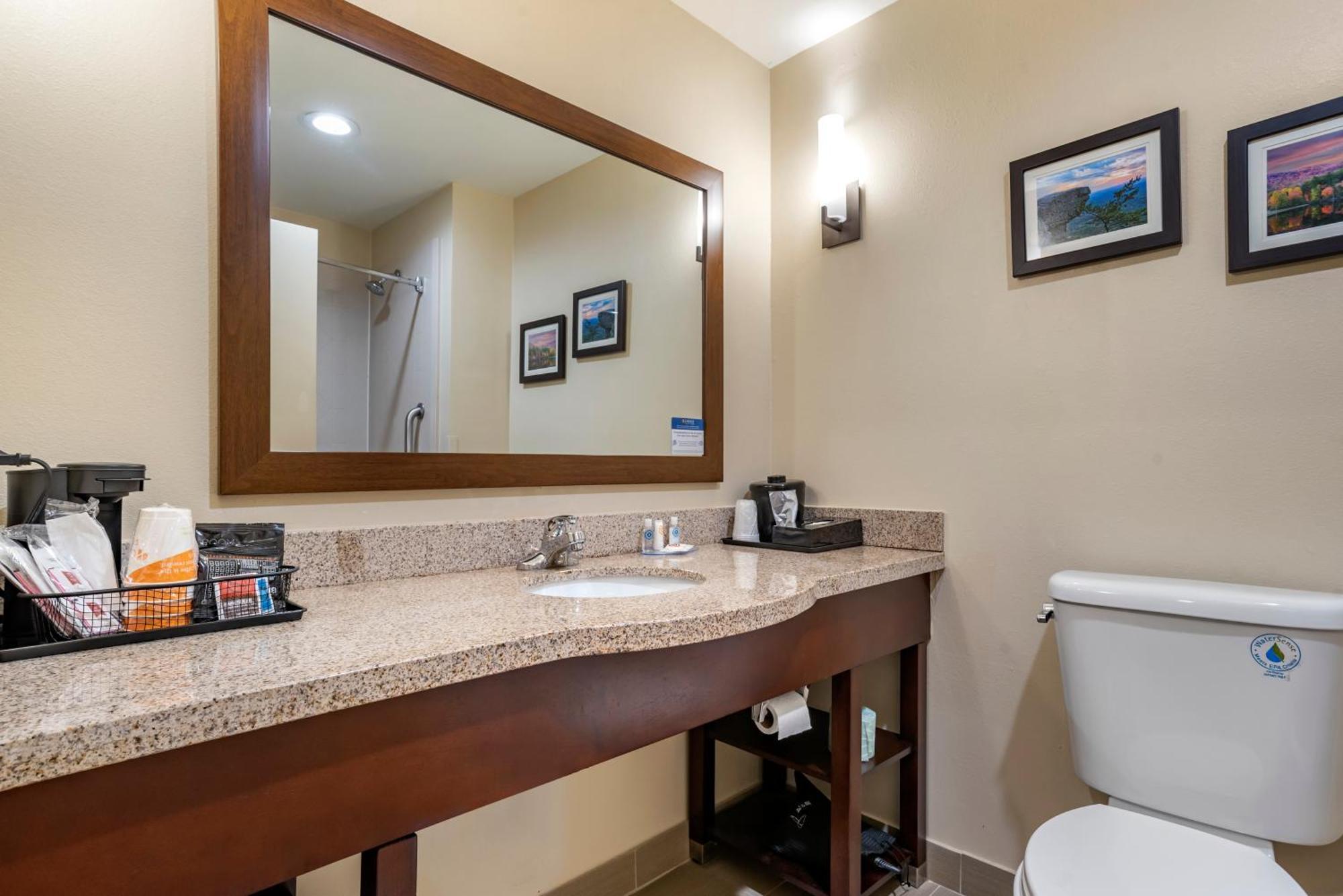 Comfort Suites Pell City I-20 Exit 158 Eksteriør bilde